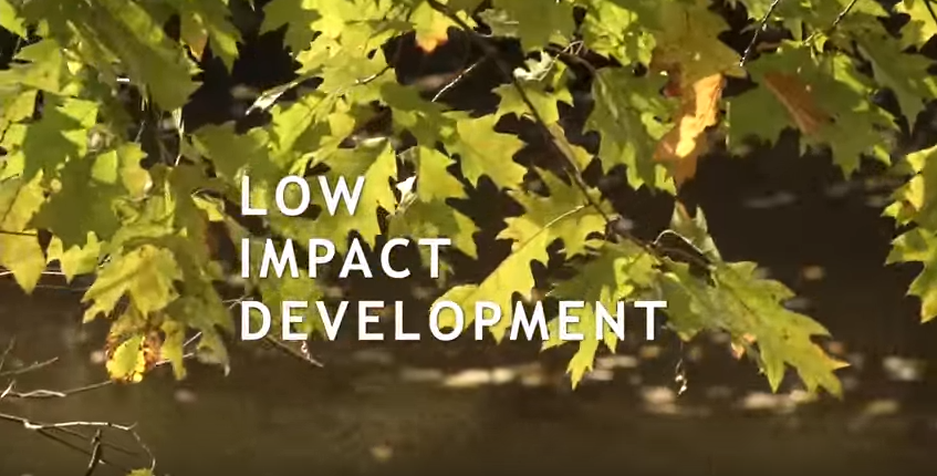 What is Low Impact Development and Green Infrastructure?